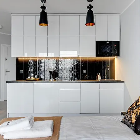 公寓式酒店 Comfortable With Access To The Gym Dom & House 格但斯克